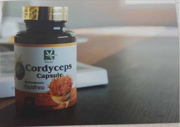 Cordyceps